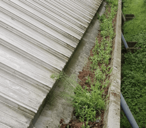 Happy customers in Hook who trust The Roof Moss Cleaners for gutter cleaning services